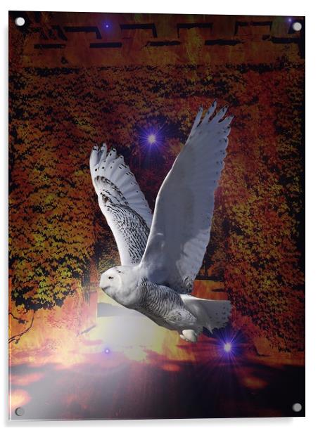 Flight of the Night Owl. Acrylic by Heather Goodwin