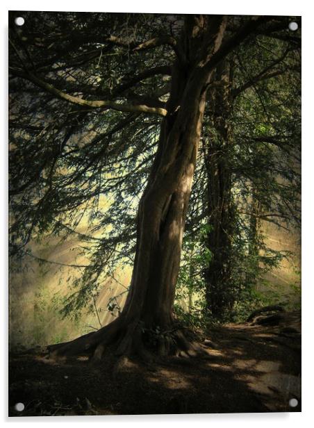 Forest Awakening. Acrylic by Heather Goodwin