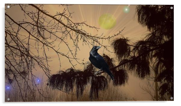  Night Call of the Raven. Acrylic by Heather Goodwin