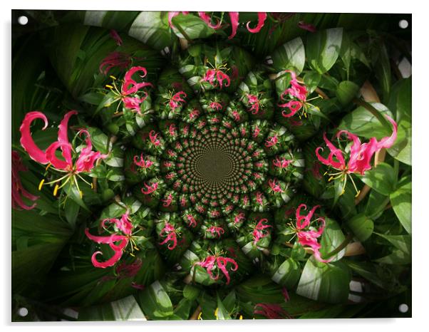 Rambling Lily. Acrylic by Heather Goodwin