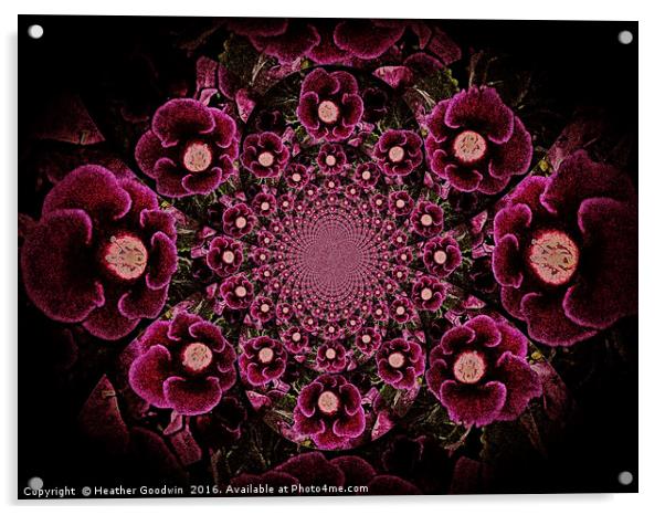 Flowering Velvet. Acrylic by Heather Goodwin