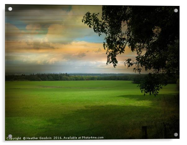 Long Field. Acrylic by Heather Goodwin