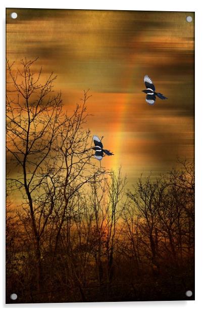 Rainbow Tracery. Acrylic by Heather Goodwin