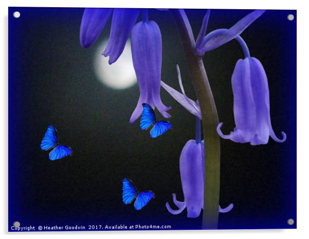 Bluebells and Butterflies Acrylic by Heather Goodwin
