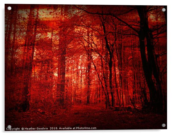 Forest Awakening Acrylic by Heather Goodwin