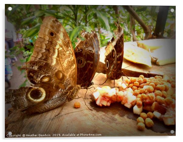 Butterfly Picnic Acrylic by Heather Goodwin