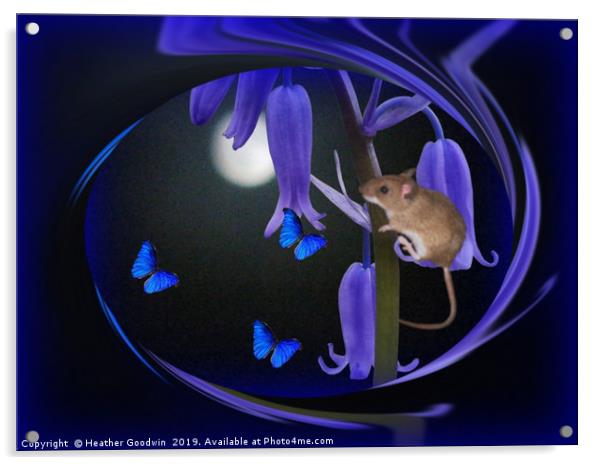 Butterfly Moon Acrylic by Heather Goodwin