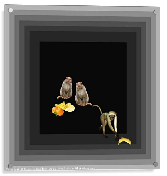 Monkey Business Acrylic by Heather Goodwin