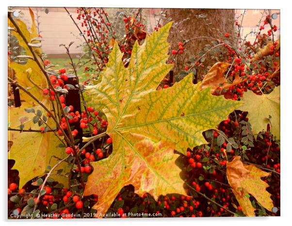 Autumn Shining Through Acrylic by Heather Goodwin