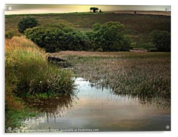 Mendip Wetlands Acrylic by Heather Goodwin
