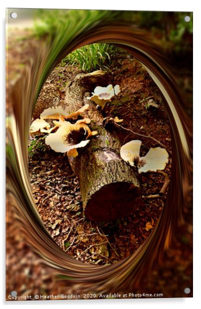 Woodland Fungi Acrylic by Heather Goodwin