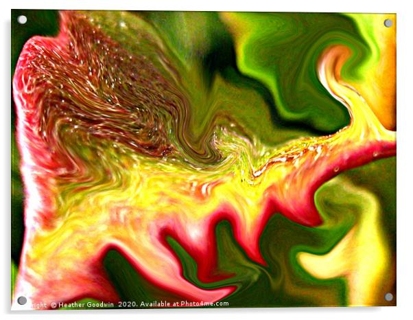 Leaf Abstract Acrylic by Heather Goodwin
