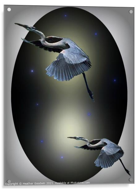 Heron Escape Acrylic by Heather Goodwin