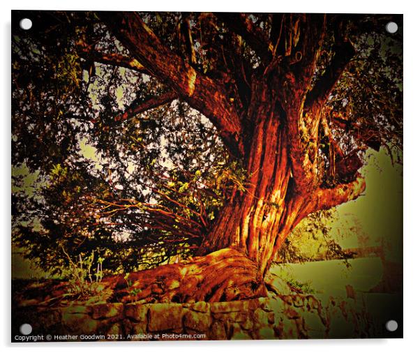 Twisted Tree Acrylic by Heather Goodwin