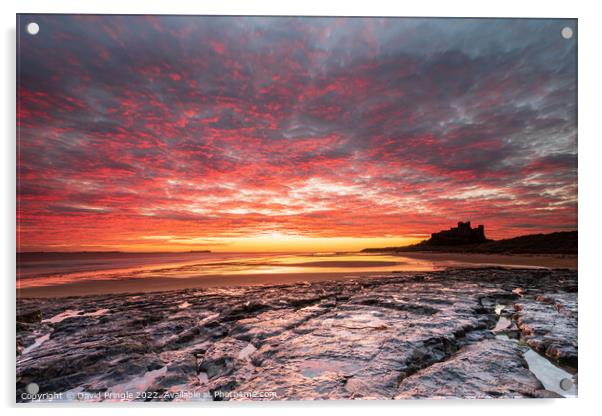 Bamburgh Castle at Sunrise Acrylic by David Pringle