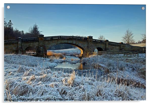 Bridge Over River Wansbeck Acrylic by David Pringle