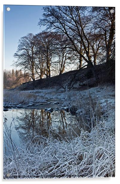 Winter Reflections Acrylic by David Pringle