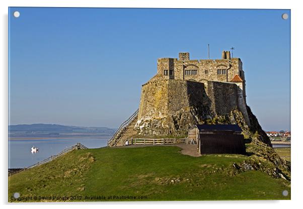 Lindisfarne Castle Acrylic by David Pringle