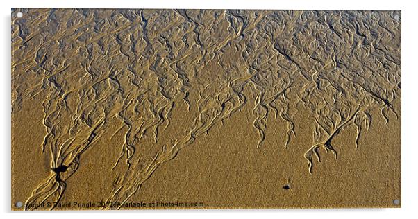 Patterns In Sand Acrylic by David Pringle