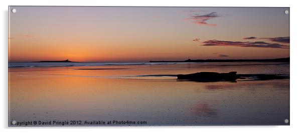 Warkworth Beach Sunrise Acrylic by David Pringle