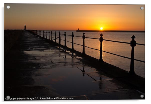 Tynemouth Pier Sunrise Acrylic by David Pringle