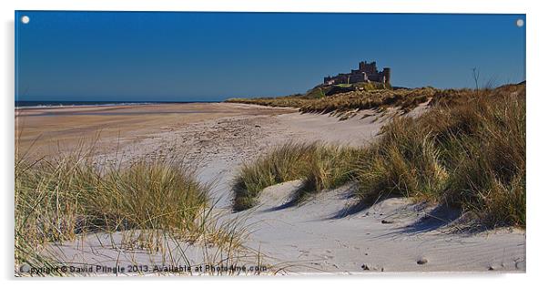 Bamburgh Castle Acrylic by David Pringle