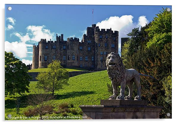 Alnwick Lion Acrylic by David Pringle