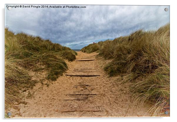 Path to the Sea Acrylic by David Pringle