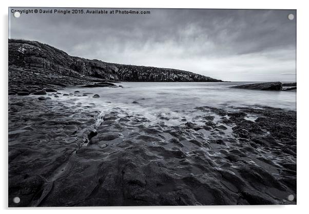 Cullernose Point Acrylic by David Pringle