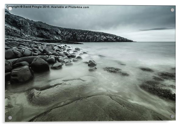 Cullernose Point Acrylic by David Pringle