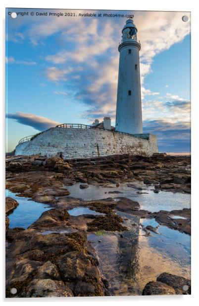 St Mary’s Lighthouse Acrylic by David Pringle