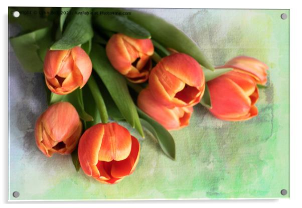 Tulips Acrylic by Lynn Bolt