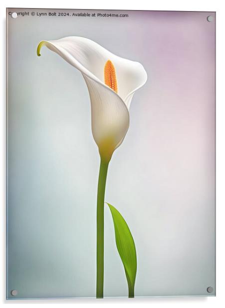 Calla Lily Acrylic by Lynn Bolt