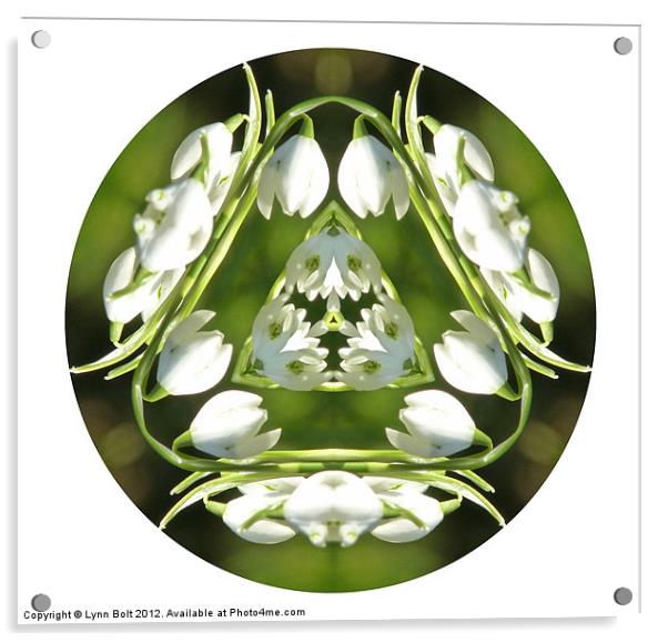 Snowdrop Kaleidoscope Acrylic by Lynn Bolt