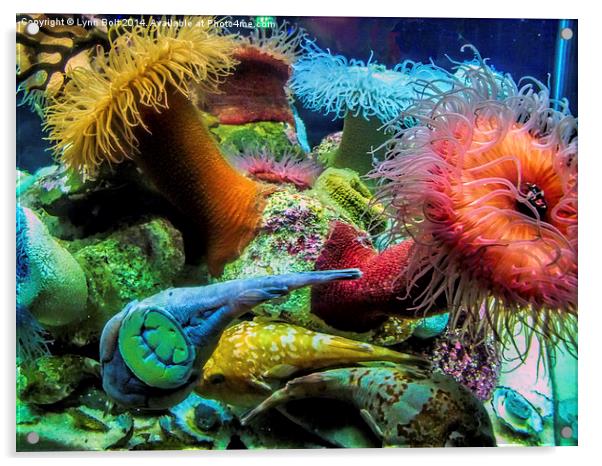 Aquarium Creatures Acrylic by Lynn Bolt