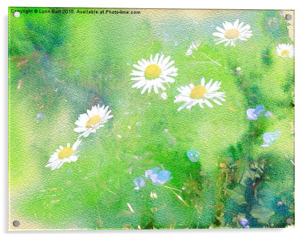 Forget Me Not and Daisies  Acrylic by Lynn Bolt