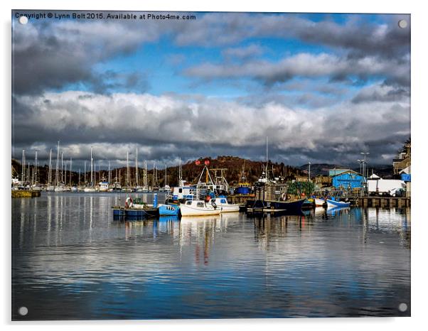  Tarbert Harbour Argyll and Bute Acrylic by Lynn Bolt