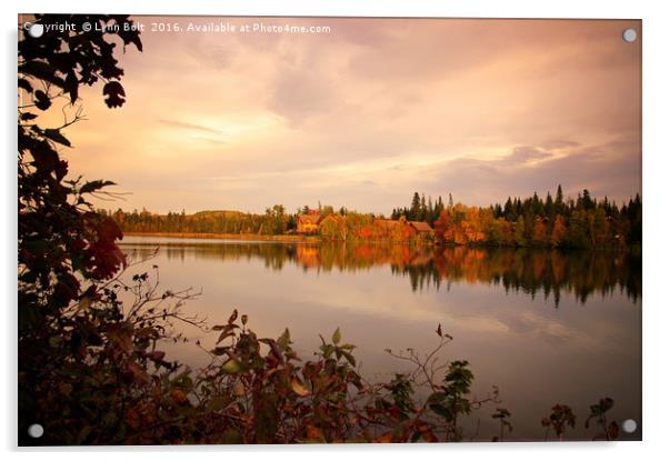 Fall in Canada Acrylic by Lynn Bolt