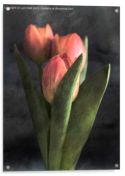 Three Tulips Acrylic by Lynn Bolt