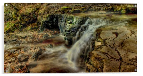 Lower Ashgill Falls Acrylic by Richie Fairlamb