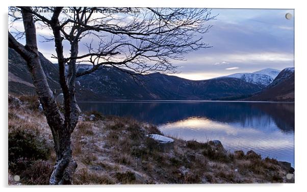 The banks of Loch Muick Acrylic by alan bain