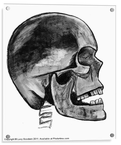 Grey Skull Acrylic by Lucy Goodwin