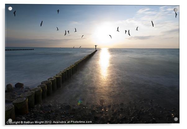 Sea birds sunset. Acrylic by Nathan Wright
