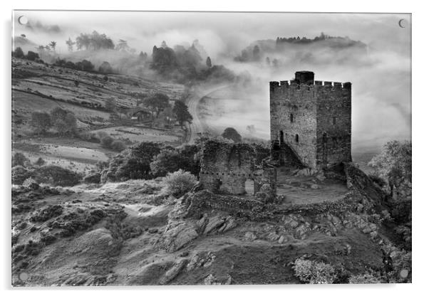 Dolwyddelan castle Acrylic by Rory Trappe