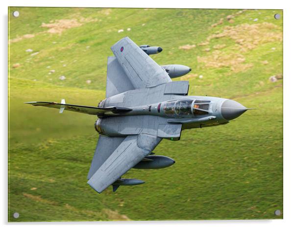41(R) Squadron RAF Tornado Rebel 87 on the Mach Lo Acrylic by Rory Trappe