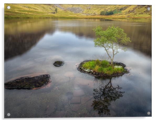 Cwmorthin Acrylic by Rory Trappe