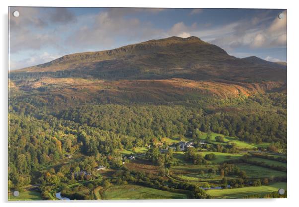 Oakley arms - Maentwrog Acrylic by Rory Trappe