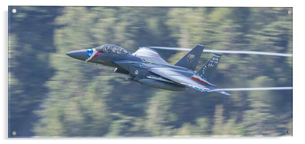 F15 Strike Eagle Liberty Special Acrylic by Rory Trappe