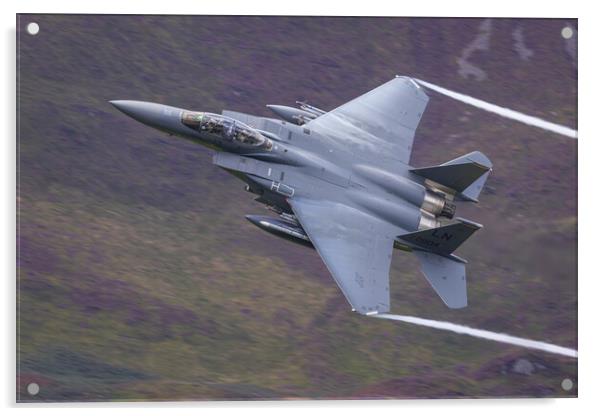 F14 Eagle low level Acrylic by Rory Trappe