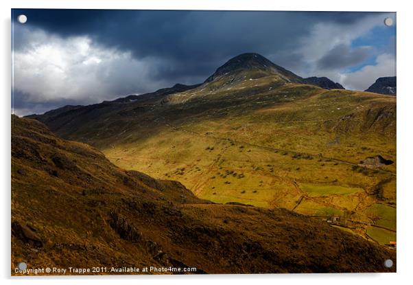 Moelwyn Mawr Acrylic by Rory Trappe